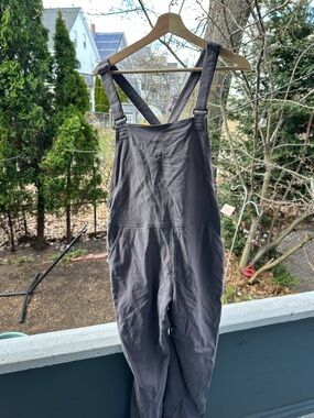 Flylow Mauve Purple/gray Overalls